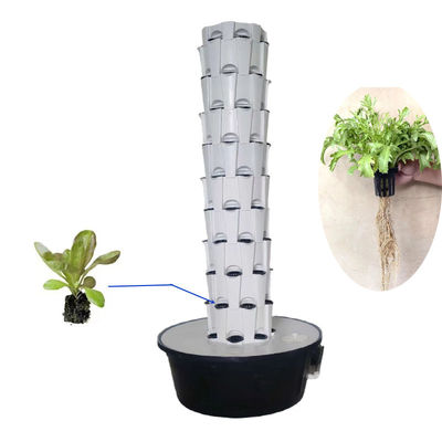 Indoor Outdoor Hydroponic Ananas Tower Grow Systems Garten Landwirtschaftliche Bodenlose Kultur Vertikaler Hydroponischer Wachstumsturm