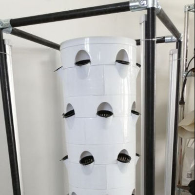 Vertikales hydroponisches Anbausystem für Gemüse und Erdbeeren mit Regal