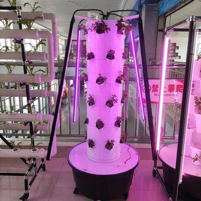 Neues vertikal hydroponisches Anbausystem für Gemüse und Erdbeeren mit LED