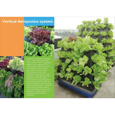 Vertikal-Aeroponik-System für den Anbau von landwirtschaftlichen Gewächshausgemüse
