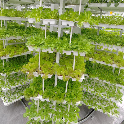 Vertikale Landwirtschaft Hängepflanze Hydroponische Intelligenz Landwirtschaft