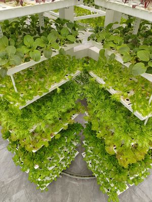 Vertikale Landwirtschaft Hängepflanze Hydroponische Intelligenz Landwirtschaft