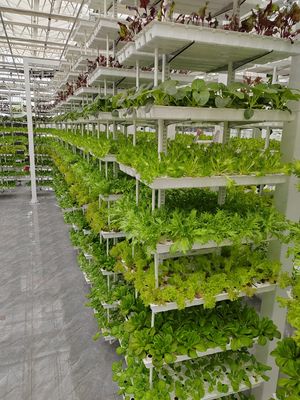 Vertikale Landwirtschaft Hängepflanze Hydroponische Intelligenz Landwirtschaft