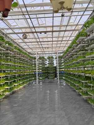 Vertikale Landwirtschaft Hängepflanze Hydroponische Intelligenz Landwirtschaft