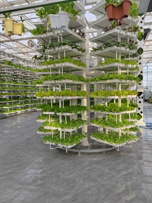 Vertikale Landwirtschaft Hängepflanze Hydroponische Intelligenz Landwirtschaft