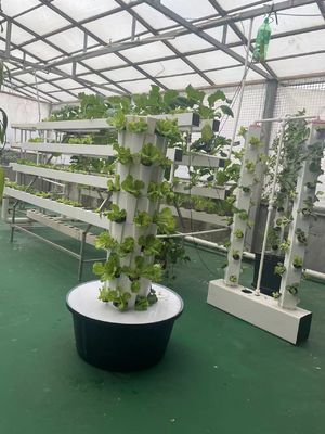 7P7 Hydroponische Wachstumsrotoren Vertikaler Garten Hydroponisches System