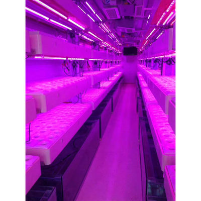 Smart Grow Hydroponic Vertikaler Anbausystem Versand Container Farm Gewächshaus
