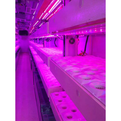 Smart Grow Hydroponic Vertikaler Anbausystem Versand Container Farm Gewächshaus