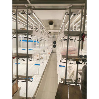 Smart Grow Hydroponic Vertikaler Anbausystem Versand Container Farm Gewächshaus