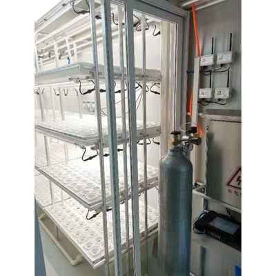 Smart Grow Hydroponic Vertikaler Anbausystem Versand Container Farm Gewächshaus