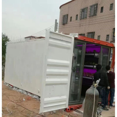 Smart Grow Hydroponic Vertikaler Anbausystem Versand Container Farm Gewächshaus