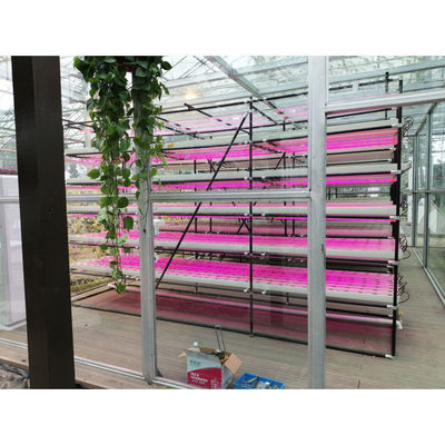Vertikale Anbaupflanze NFT Hydroponische Smart Garden Weiß 110V/220VAC