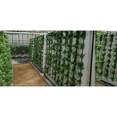 Innenhydroponische Anbausysteme Zuhause Zip Vertikales Hydroponisches System