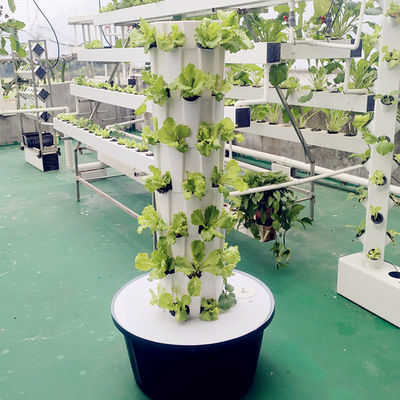 Indoor Outdoor Hydroponic Ananas Tower Grow Systems Garten Landwirtschaftliche Bodenlose Kultur Vertikaler Hydroponischer Wachstumsturm