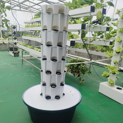 Indoor Outdoor Hydroponic Ananas Tower Grow Systems Garten Landwirtschaftliche Bodenlose Kultur Vertikaler Hydroponischer Wachstumsturm