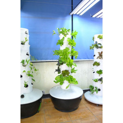 Großhandel Fabrikpreis Hydroponisches Anbausystem Turm mit LED-Anbaulicht Garten Aeroponik System