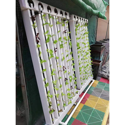 C-Growart Farm Hydroponisches Anbausystem Bodenloser Anbau für Pflanzenwachstum