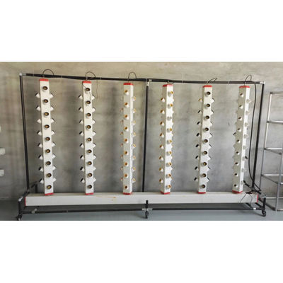 Hydroponische Anbausysteme im neuen Stil