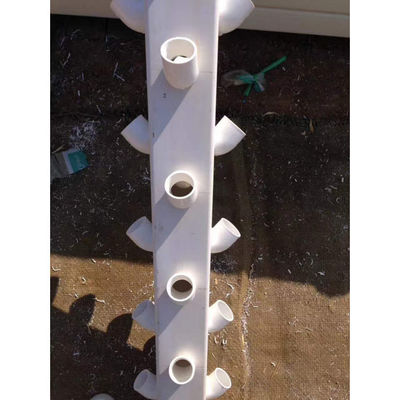 Hydroponische Anbausysteme im neuen Stil