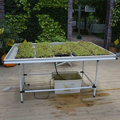 Maßgeschneiderte Tafeln Wachstums-Tisch Gewächshaus Wachstums-Tische Ebb And Flow Tray