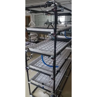 Maßgeschneiderte Tafeln Wachstums-Tisch Gewächshaus Wachstums-Tische Ebb And Flow Tray