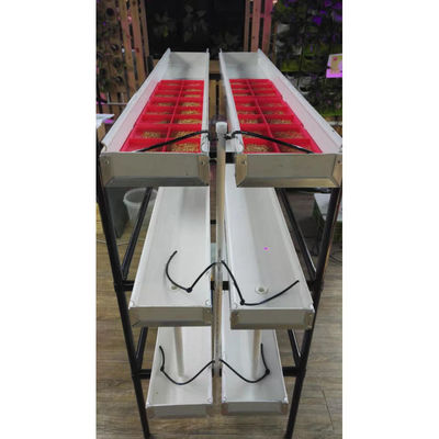 Automatisches vertikales Kornfuttersystem Grasfutter hydroponisch