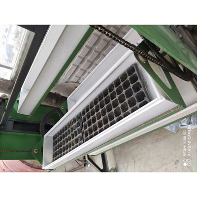 Automatisches vertikales Kornfuttersystem Grasfutter hydroponisch