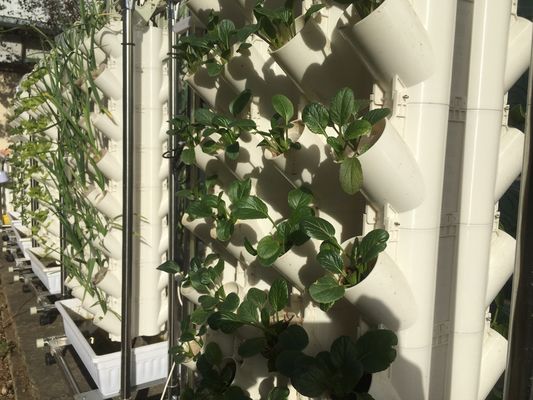 Bodenlose Anbau oder Substratanbau Pflanzturm für die Gartenarbeit