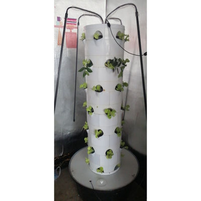 Hydroponisches Anbausystem für Gemüse und Erdbeeren mit LED-Licht