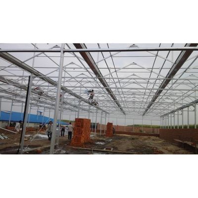 PE Film Gewächshaus Landwirtschaft Tunnel Gewächshaus für Blumen Anlage