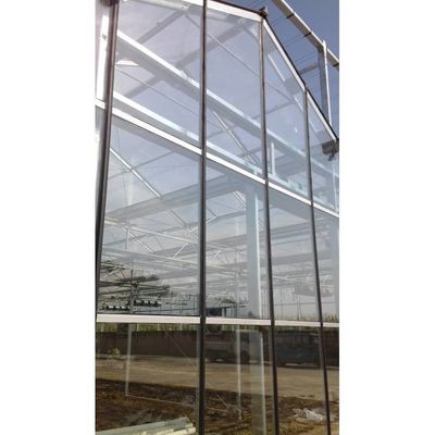 Landwirtschaft Mehrspannglas Gewächshaus Hydroponisches Gewächshaus Weiß