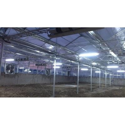 Landwirtschaft Mehrspannglas Gewächshaus Hydroponisches Gewächshaus Weiß