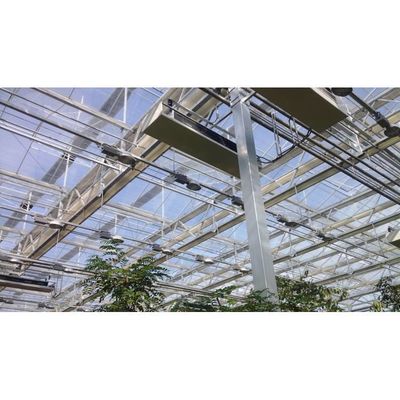 Landwirtschaft Mehrspannglas Gewächshaus Hydroponisches Gewächshaus Weiß