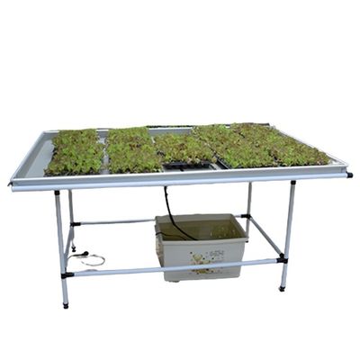Professionelle vertikale Aussaat-Fluttabellen Hydroponische Anbauhalter
