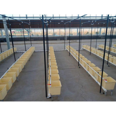 Nachhaltige Beige Dutch Bucket Hydroponics System Landwirtschaftliche