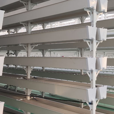 Erdbeeren vertikaler Anbausystem für Früchte Weiße Lebensmittelqualität Pflanzung PVC