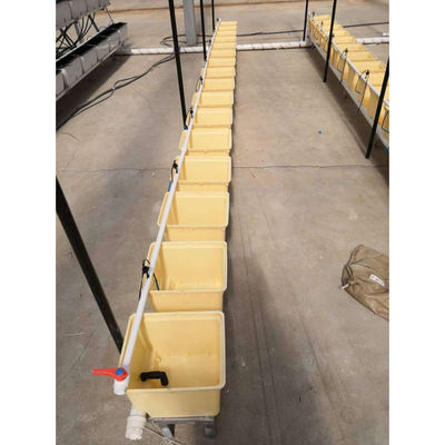 Nachhaltige Beige Dutch Bucket Hydroponics System Landwirtschaftliche