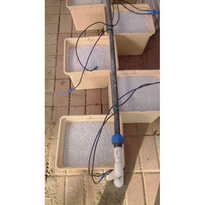 Nachhaltige Beige Dutch Bucket Hydroponics System Landwirtschaftliche
