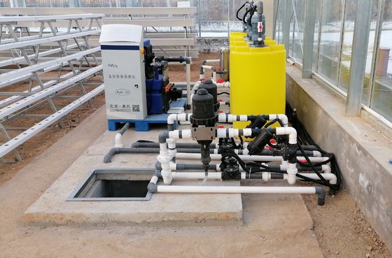 Erdbeeren vertikaler Anbausystem für Früchte Weiße Lebensmittelqualität Pflanzung PVC