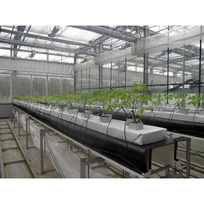 Lebensmittelqualität PVC-Hydroponik und Cocopeat-Hydroponik-Anbaugeräte