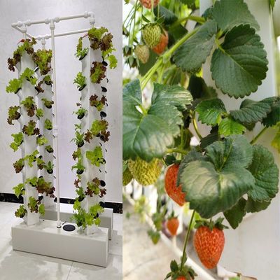 Intelligente Hydroponik Vertikale Gartenpflanzung Kräuterpflanzen NFT Anbausystem