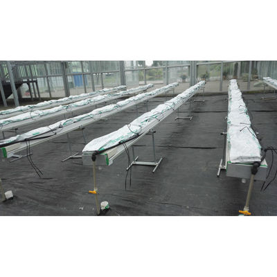 Lebensmittelqualität PVC-Hydroponik und Cocopeat-Hydroponik-Anbaugeräte