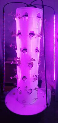 Neues vertikal hydroponisches Anbausystem für Gemüse und Erdbeeren mit LED