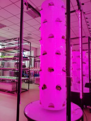Neues vertikal hydroponisches Anbausystem für Gemüse und Erdbeeren mit LED