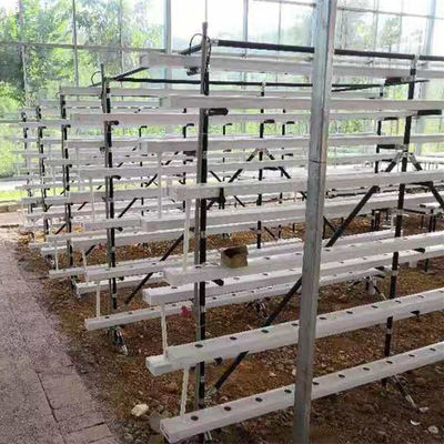 NFT hydroponisches Anbausystem Gewächshaus NFT hydroponischer Kanal