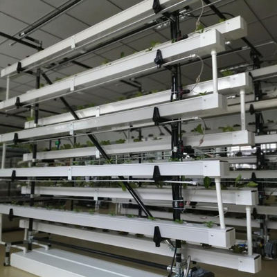 NFT hydroponisches Anbausystem Gewächshaus NFT hydroponischer Kanal