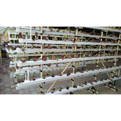 Neue Ankunft Hydroponik NFT Gewächshaus System mit PVC-Rohr wachsenden Kits Innen- und Garten