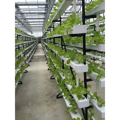 Neue Ankunft Hydroponik NFT Gewächshaus System mit PVC-Rohr wachsenden Kits Innen- und Garten