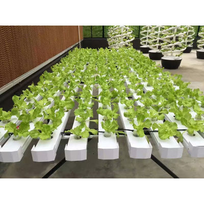 Neue Ankunft Hydroponik NFT Gewächshaus System mit PVC-Rohr wachsenden Kits Innen- und Garten