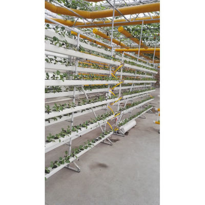 Neue Ankunft Hydroponik NFT Gewächshaus System mit PVC-Rohr wachsenden Kits Innen- und Garten